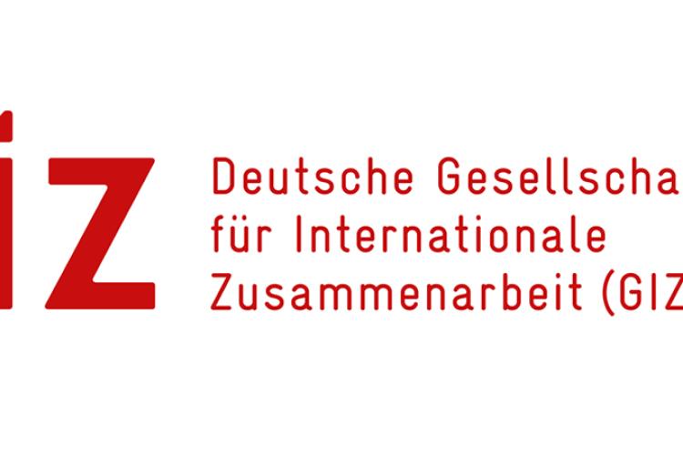 https://www.giz.de
